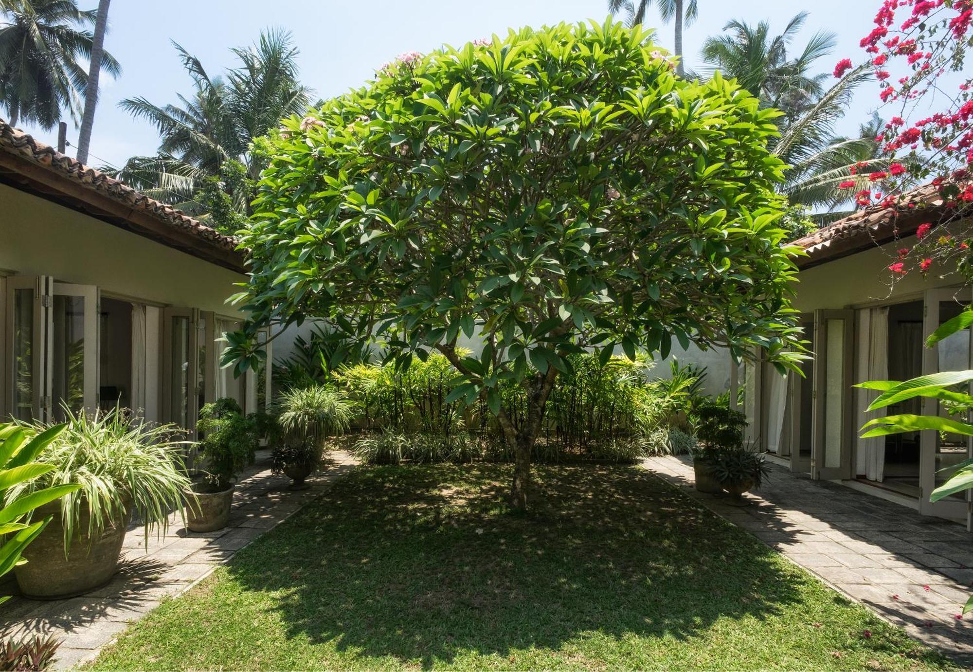 Elysium Hotel Unawatuna Ngoại thất bức ảnh